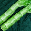 Green Asparagus Lettuce Seeds