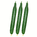 'Jinyan No.4' Thorny Green Cucumber