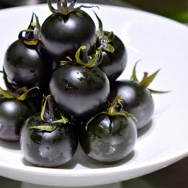 Dwarf Bonsai Black Pearl Tomato Seeds