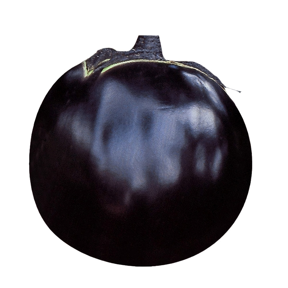 'Black Boss' Round Eggplant Seeds