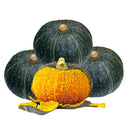 'Green Baby' Small Pumpkin Seeds