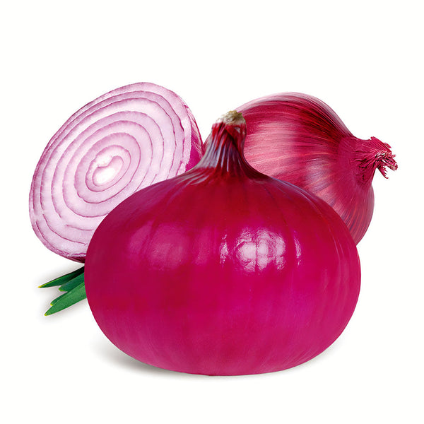Red Onion Seeds