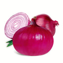 Red Onion Seeds