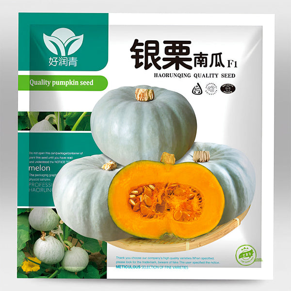 Silver Chestnut Pumpkin Hybrid Seeds