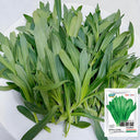 Noodle Vegetable Seeds, 10g