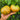 925 Pineapple Amber Tomato, 5 Seeds