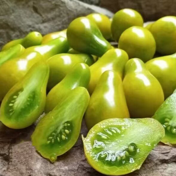 823 Green Pear Tomato, 5 Seeds