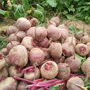 Globular Beetroot Seeds, 10g