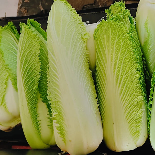 'Green Bamboo 70' Chinese Cabbage Seeds, 20g