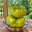 367 Absinthe Tomato, 5 Seeds