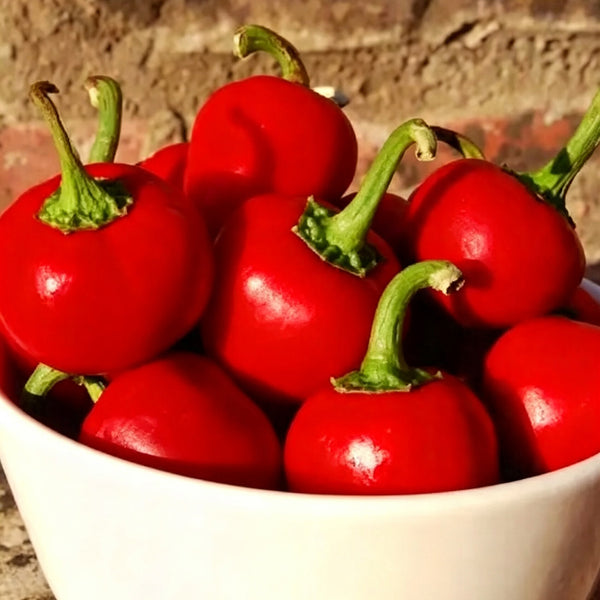 Red Hot Cherry Pepper, 15 Seeds