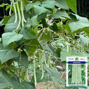 Bai Fumei Pole Bean Seeds, 200g
