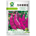 Purple Hyacinth Bean Seeds, 5g Per Bag