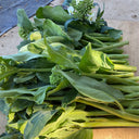 Wrinkle-leaf Mid-flowering Chinese Kale Seeds, 20g