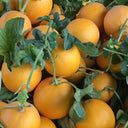 Hongyu Sweet Melon Seeds, 20 Seeds