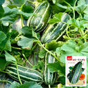 Yiwo Wu Sweet Melon Seeds, 3g
