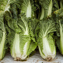Super Green Pioneer Chinese Cabbage, 5 × 4g Bags