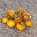 358 Edith Bernhard Tomato, 5 Seeds