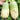 Knife Handle Radish Seeds, 10g