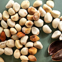 Moonflower, 3 Seeds