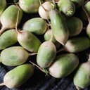 'Liangguan' Apple-shape Green Radish Seeds, 10g