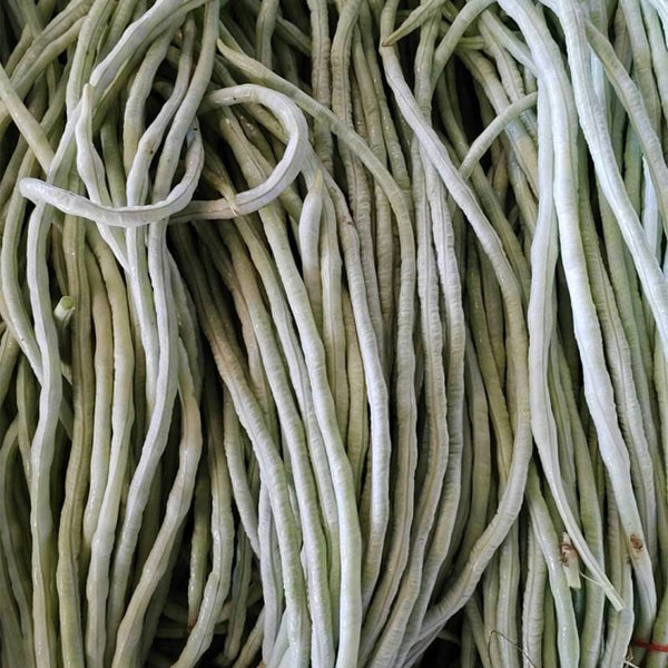 'Jiemei' Glossy White Long Bean Seeds, 20g