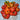 531 Jarson 13/2 Tomato, 5 Seeds