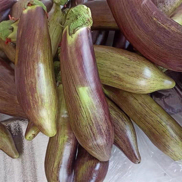 Yu Bamboo-Silk Eggplant No.881 Seeds, 8g