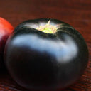 731 Lacadero Tomato, 5 Seeds