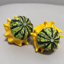 Crown of Thorns Gourd Seeds, 10 Seeds