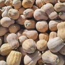Jiami F1 Pumpkin, 20 Seeds