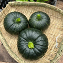 Green Baby Pumpkin Seeds, 50 Seeds