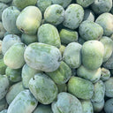 Green Star Wax Gourd Seeds, 10g