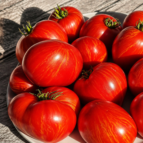 167 Dwarf Speckled Heart Tomato, 5 Seeds