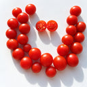 525 Moroco Cherry Tomato, 5 Seeds