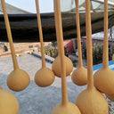 Long Handle Gourd, 10 Seeds