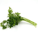 Italian Chervil, 50 Seeds