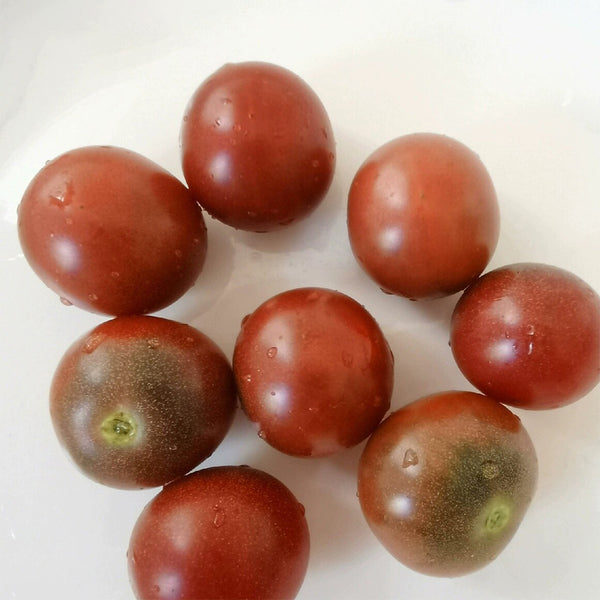 Reinhard Kraft's Purple Sugar Cherry Tomato, 5 Seeds