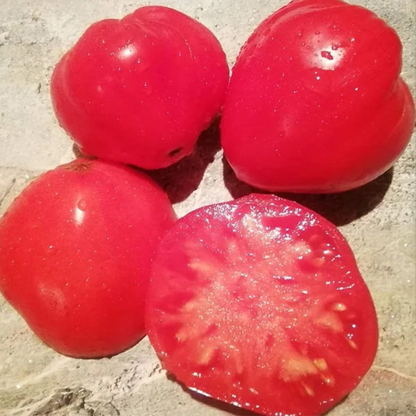 307 Heartwarming Kiss Tomato, 5 Seeds
