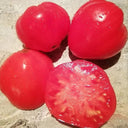 307 Heartwarming Kiss Tomato, 5 Seeds