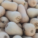 Cream Pumpkin Seeds, 10 Seeds