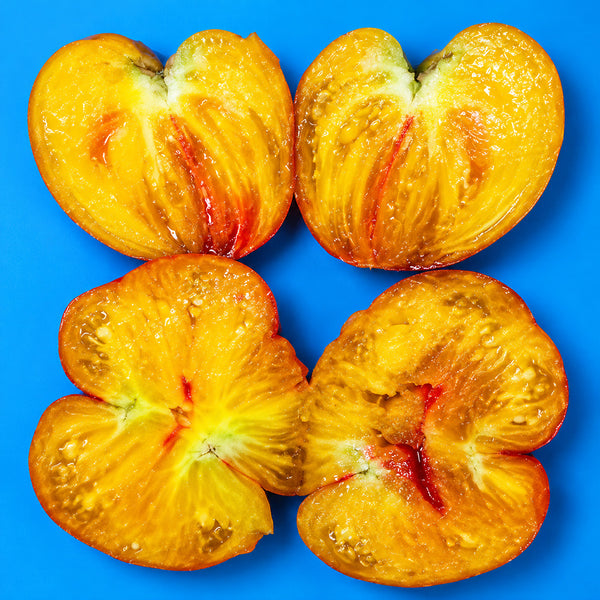 36 Pomaranch Tomato, 5 Seeds