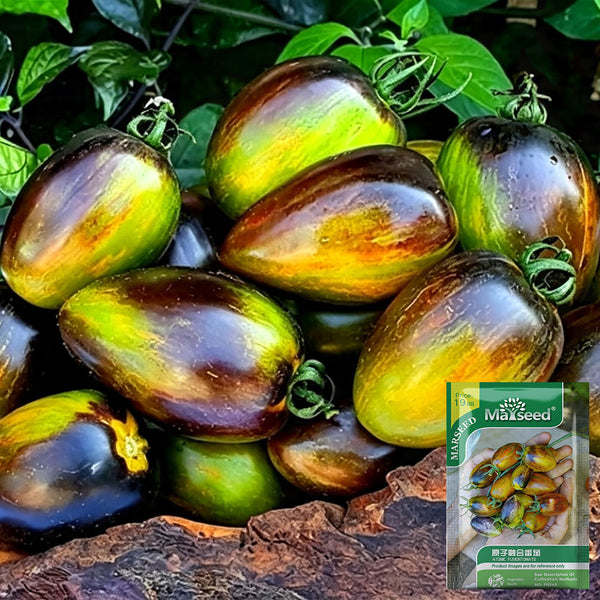 Atomic Fusion Tomato, 5 Seeds