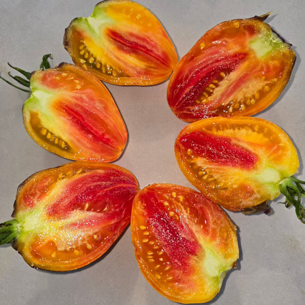 826 Fiery Red Comet Tomato, 5 Seeds