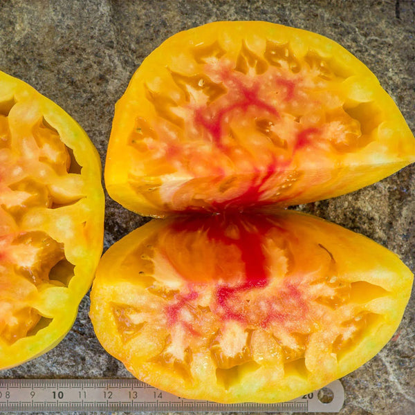 1040 Snowflake Beefsteak Tomato, 5 Seeds