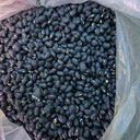 Black Cowpea, 50 Seeds