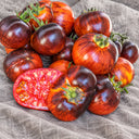 456 Dwarf Striped Antho Tomato, 5 Seeds