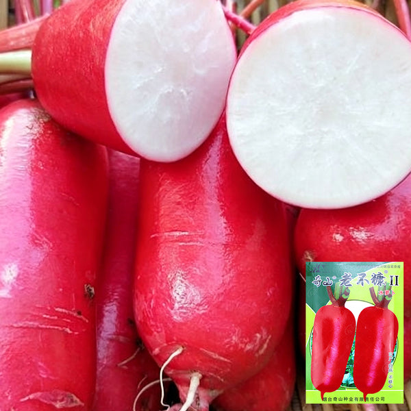 'Qishan Laobukang No.2' Water Radish Seeds, 20g