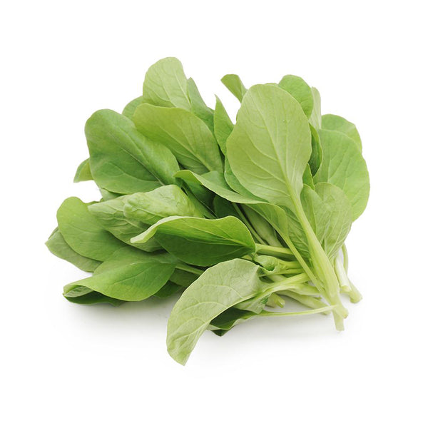 Tender Baby Bok Choy Seeds, 50g