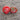 260 Dana's Dusky Rose Tomato, 5 Seeds